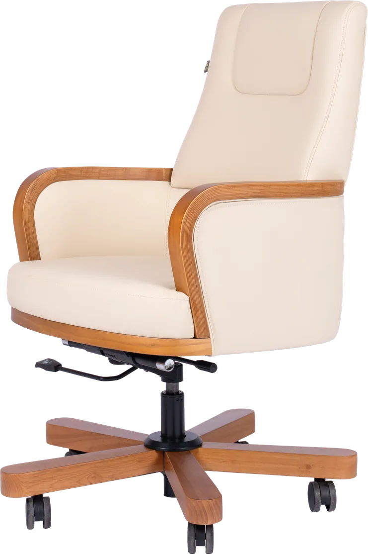 Medium-back executive chair, DR-1294