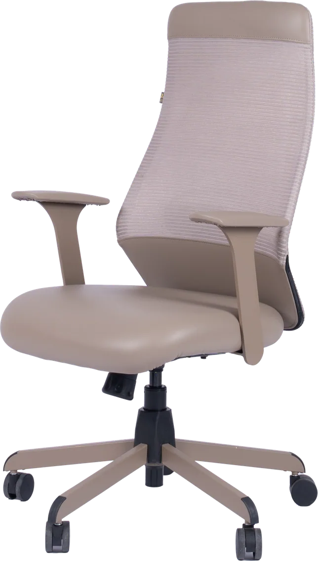 Ergonomic mesh chair, SL-526